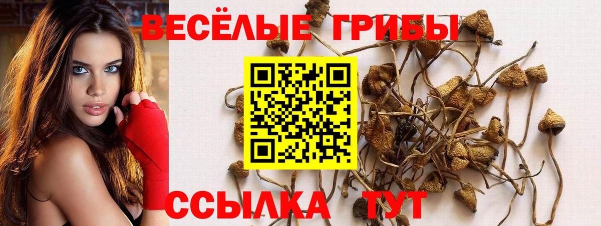 Псилоцибиновые грибы прущие грибы Железноводск